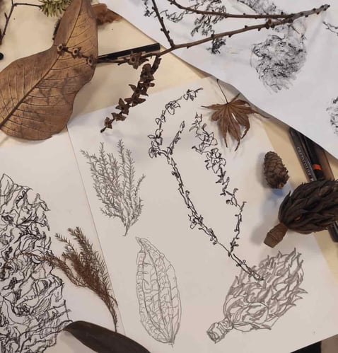 ateliers-creatifs-vegetaux